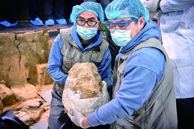 欧陆平台登录：距今百万年的“郧县人”三号头骨化石顺利提取